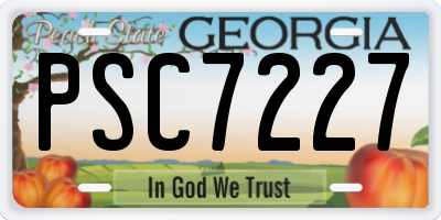GA license plate PSC7227