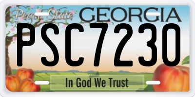 GA license plate PSC7230