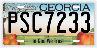GA license plate PSC7233