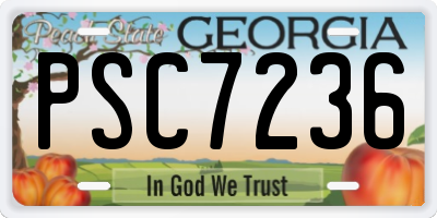GA license plate PSC7236