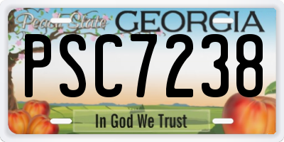 GA license plate PSC7238