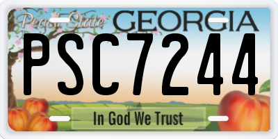 GA license plate PSC7244