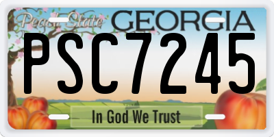 GA license plate PSC7245
