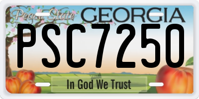 GA license plate PSC7250