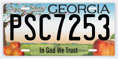 GA license plate PSC7253