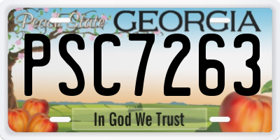 GA license plate PSC7263