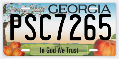 GA license plate PSC7265