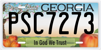 GA license plate PSC7273