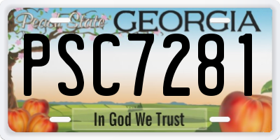 GA license plate PSC7281