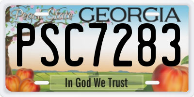 GA license plate PSC7283