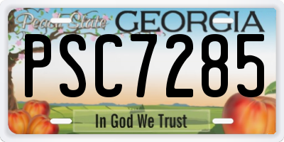 GA license plate PSC7285