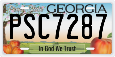 GA license plate PSC7287