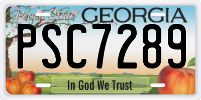 GA license plate PSC7289