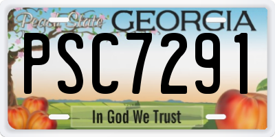 GA license plate PSC7291