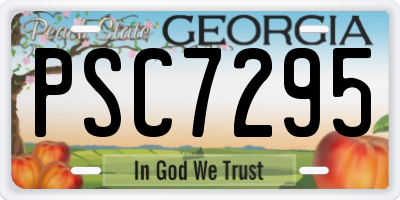 GA license plate PSC7295