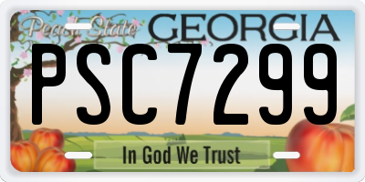 GA license plate PSC7299