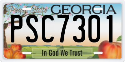 GA license plate PSC7301