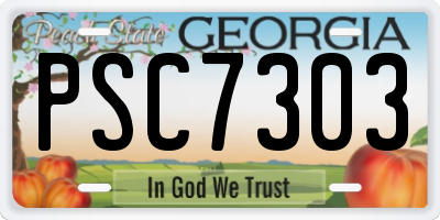 GA license plate PSC7303