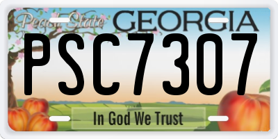 GA license plate PSC7307