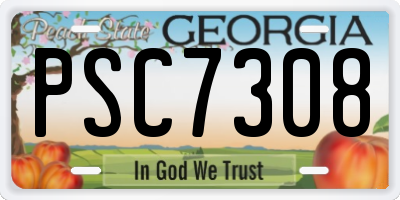 GA license plate PSC7308