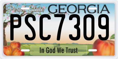 GA license plate PSC7309