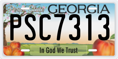 GA license plate PSC7313