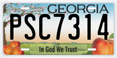 GA license plate PSC7314