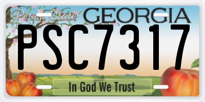 GA license plate PSC7317