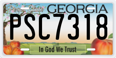 GA license plate PSC7318