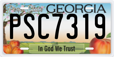 GA license plate PSC7319