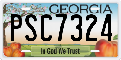 GA license plate PSC7324