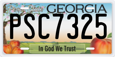 GA license plate PSC7325