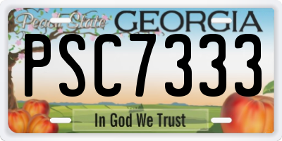 GA license plate PSC7333