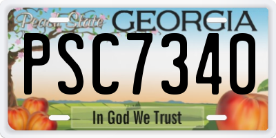 GA license plate PSC7340