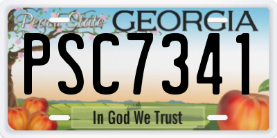GA license plate PSC7341