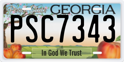 GA license plate PSC7343