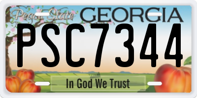 GA license plate PSC7344
