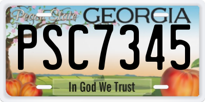 GA license plate PSC7345