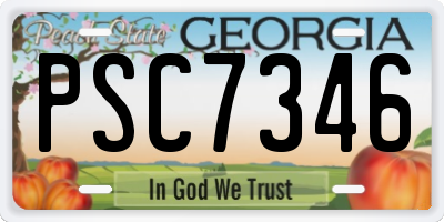 GA license plate PSC7346