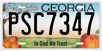 GA license plate PSC7347