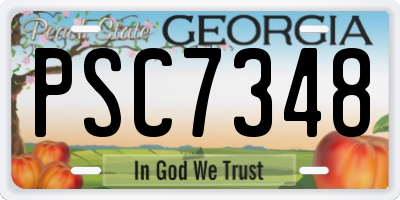 GA license plate PSC7348