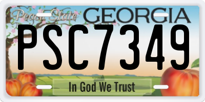 GA license plate PSC7349