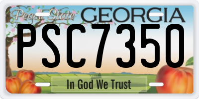 GA license plate PSC7350