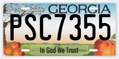 GA license plate PSC7355