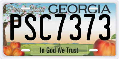 GA license plate PSC7373