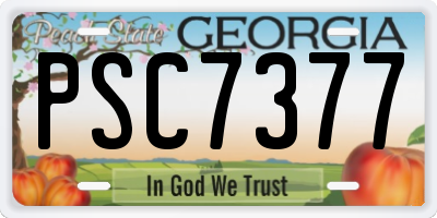 GA license plate PSC7377