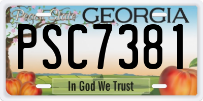 GA license plate PSC7381