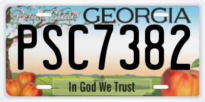 GA license plate PSC7382