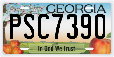 GA license plate PSC7390