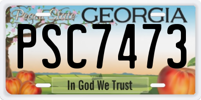 GA license plate PSC7473